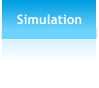 Simulation